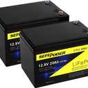 12V 20Ah Lithium LiFePO4 Deep Cycle Battery (2 Pack), 4000 Cycles Rechargeable Battery for Lighting, Power Wheel, Fish Finder with and More Built-in 40A BMS(Screw Terminal)