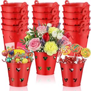 24 Pcs Valentine Small Gift Buckets with Handle Hollow Heart Shaped Red Metal Sand Bulk Valentines Party Favor for Crayon Candy Chocolate Flower Party Favor