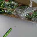 Admired by Nature Artificial Holly Leaves with Berries Bush Bouquet - for Holiday Winter Christmas Home Decor, Faux Floral Arrangement for Crafts, Events, Funerals, Cemeteries - Set of 2, Green