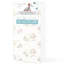 Dream On Me 2-in-1 Breathable Dual-Sided Portable/Mini Crib Coil Mattress 3 Firm Innerspring Core, Waterproof Vinyl Cover, GREENGUARD Gold Certified, Fits Standard Mini & Portable Cribs