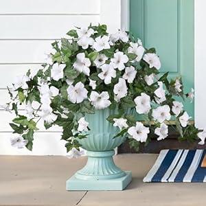 HyeFlora Artificial Flowers for Outdoors 2PCS Faux Petunias Silk Fake Flowers for Outside Planter UV Resistant Realistic Home Garden Porch Decor (White)
