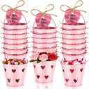 24 Pcs Mini Pink Valentine Buckets with Handle 2.36 Inch Small Metal Heart Pails with Gift Tags Bulk ValentineS Day Gift Bucket Party Favor Candies Crayon Pencil Craft Storage, Heart Hollow