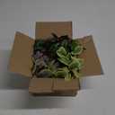Hollyone Fake Plants Pack of 6 Artificial Plants Indoor Faux Plant with White Plastic Pot Small Fake Potted Plant for Home Aesthetic Living Room Bathroom Desk Shelf Office Decor (Style 5)