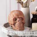 Halloween Terracotta Color Plastic Skull 5.9 Inch Life Size Human Skeleton Head Model for Halloween Indoor Outdoor Decor Party Centerpiece