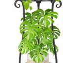 LASZOLA 2 Tier Black Metal Plant Stand for Multiple Large Planters Indoor Outdoor Organizer, Heavy Duty Tall Flower Stand for Corner Patio Bathroom Office, Modern Sturdy Vertical Iron Rack, Cat Proof