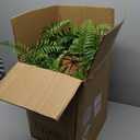 2 Set Fake Ferns with Hanging Baskets, Realistic Fake Hanging Plants, UV Resistant Artificial Ferns Outdoor Faux Plants for Front Porch Patio Garden Home Dcor, No Assembly Required