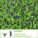 10x10Inch 12Pcs Grass Wall Panels, UV-Anti Boxwood Greenery Hedge, Odorless Artificial Fake Grass Backdrop Indoor Outdoor Privacy, Birthday Wedding Decor, 8.3 SQ FT, Lavender
