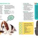 A Kid's Guide to Dogs: How to Train, Care for, and Play and Communicate with Your Amazing Pet!