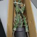 Artificial Cactus Potted Plant 43 Inch Faux Desert Cacti Fake Big Cactus Plant with Black Planter for Home Garden Office Indoor Outdoor Decoration