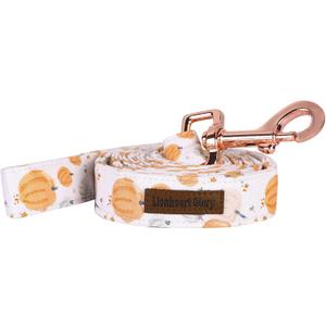 Lionheart glory Halloween Strong Dog Leash, Durable Dog leashes with Soft Handle for Walking Training Small Male or Female Dogs (Small (Pack of 1)