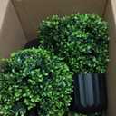 Wavwavw 2 Sets Easter Bunny Topiary Tree Artificial Rabbit Topiary Outdoor Decorations 23.6 in Artificial Bunny-Shaped Tree Faux Boxwood Plant with String Lights for Garden Home Indoor Porch Decor