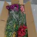 Yastouay 12 Bundles Artificial Flowers for Outdoors, UV Resistant Artificial Outdoor Flowers No Fade Fake Outdoor Flowers Plants for Garden Porch Window Box Farmhouse Pot Planters Decor (Multi ColorA) (Fuchsia+pink+rose Red+yellow)