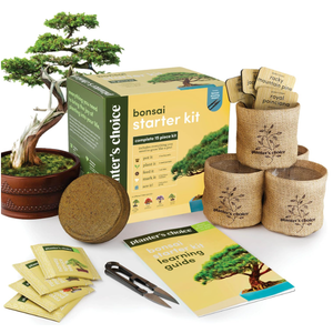 Bonsai Starter Kit  Gardening Easter Gift for Women & Men  Bonsai Tree Growing Garden Crafts Hobby Kits for Adults, Unique DIY Hobbies for Plant Lovers  Unusual Christmas Gifts Ideas