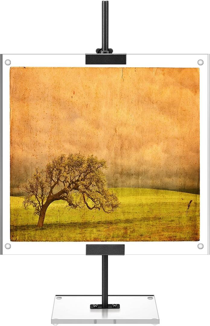 RattanView Black Adjustable Metal Easel Stand with Acrylic Floating Photo Frame 16.5" Tabletop Metal Standing Easel Display Stand for Display Picture, Frame, Photos, Art, Poster, Signs