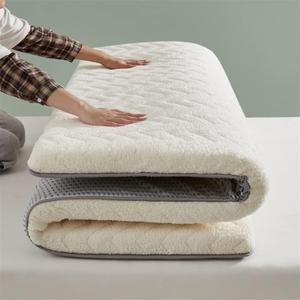 Japanese Futon Mattress,Tatami Mattress, Soft Plush Foldable Floor Mattress for Adults Roll Up Sleeping Mattress for Floor Portable Tatami Mat for Camping Dormitory Guest,(White,150x190cm (59x79in)