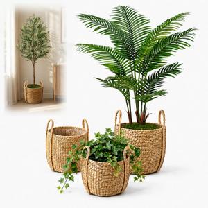 3 Pcs Large Wicker Planter Basket with Handles, Seagrass Rattan Floor Planter Pots Set, Large Indoor Plant Covers (9.8", 11.8", 13.7") for Olive Tree, Snake Plant, Monstera & Houseplants
