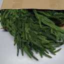 9 FT Real Touch Christmas Norfolk Pine Garland - Artificial Christmas Garlands Faux Cedar Fake Pine Needles Garland for Fireplace,Table, Stairs, Mantle, Window,Indoor Outdoor,Home,Holiday Decor