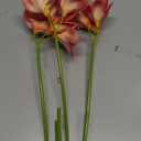 Winterworm 3 PCS Artificial Plumeria Flowers,Real Touch Lifelike Plumeria Frangipani 9 Fake Flower Bouquets with Stems for Home Office Wedding Engagement Party Decoration DIY Craft Gift (Rose Red)