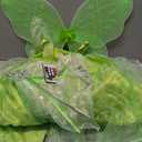 Light Up Girls Halloween Costume Toddler Fairy Dress & Wings Green Fairy Girls Costume Princess Ball Gown Kids (5-6 Years)