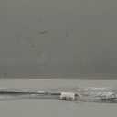 Dilwe Cello Endpin, Carbon Fiber Instrument End Pin Accessory for 3/4 4/4 Size Cellos