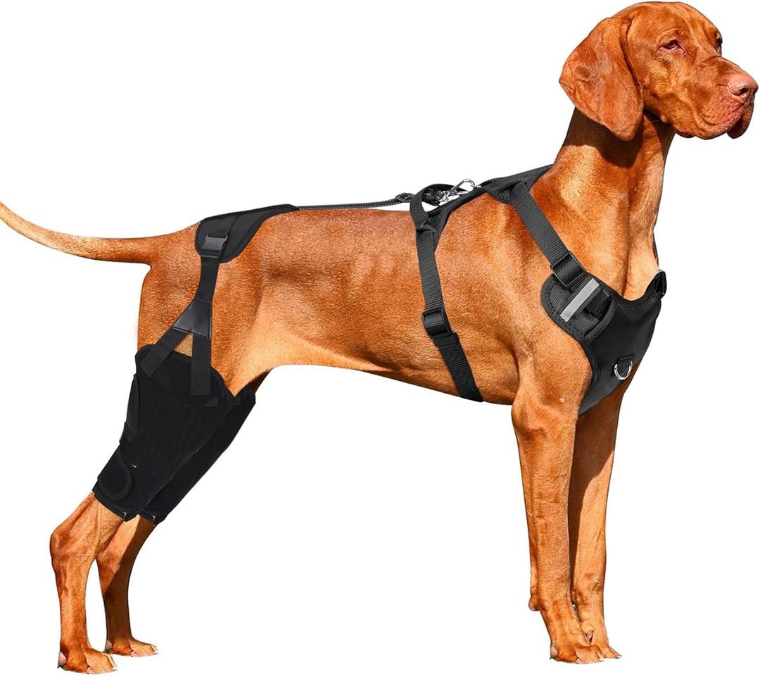 Dog Knee Leg Brace, Dog ACL Brace for Back Hind Rear Leg, for Torn ACL Tear, Luxating Patella (Medium)