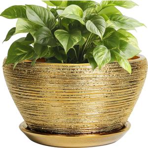 Ceramic Plant Pot Indoor - 9 Inch Planters for Outdoor Plants Decorative Plant Pot with Drainage Hole and Saucer Round Planter Modern Flower Pot Decorative for House Decor Gold