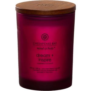 Chesapeake Bay Candle PT41689 Candle Medium Jar Dream & Inspire Home Dcor