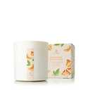 Amazon.com: Thymes Candle - 8 Oz - Mandarin Coriander : Home & Kitchen