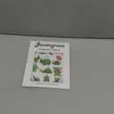 Turtle Temporary Tattoos for Party Supplies, 52 PCS Cute Sea Turtle Tattoo Stickers for Birthday Parties, Sea Turtle Party Decorations, Waterproof Tattoos 3 Pack