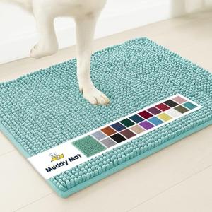 Muddy Mat® | Super Absorbent Door Mat Indoor, Microfiber Quick Dry Chenille Entryway Rug, Non-Slip Front Door Mat, Indoor Mats for Entryway, Machine Washable Pet Rug, Sea Green 24"x60"