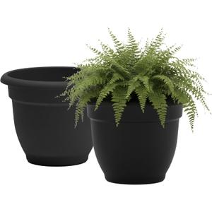 Bloem Ariana 12" Plastic Self-Watering Planter, Black, 2-Pack | Self-watering disk at the bottom of each pot that acts as a water wick and reservoir for optimal plant health