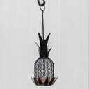 Pineapple Bird Feeder