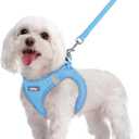 Rabbitgoo Dog Harness Small Sized and Leash Set, Step in Soft Light Puppy Vest, Breathable Mesh Pet Harness, Reflective for Safe Easy Walking, Blue, (M (Chest: 16 - 18.5"))
