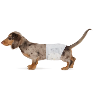 Basics LeakProof, Super Absorbent Male Dog Diapers with Wetness Indicator, Comfortable Design, Breathable Disposable Wrap, Secure Fit, Small, 30 Count