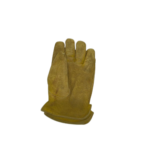 Glove
