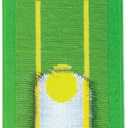 Divot Board - The Original Patented Low Point and Swing Path Trainer - Instant Feedback. Anytime. Anywhere - See Your Swing Path and Learn Every Time You Hit the Ball!, 21 inches x 6"