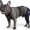 Dog Knee Brace with Harness and Connection Belt, Lightweight and Stretchable, Support for Torn ACL Hind Leg, Luxating Patella, Reduces Arthritis Pain and Inflammation (XXX-Small)
