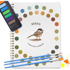 Dancart Watercolor Kit with Outlines, 12 Colors Rustproof Box, 3 Brushes & Multi-Theme Painting Kit for Teens & Adults (Bird)