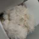 Neelvin Beige Faux Fur Cozy Soft Plaid Decorative Throw Pillow Covers 22x22 inch Set of 2,Velvet Pillowcase Cushion Case for Sofa Couch