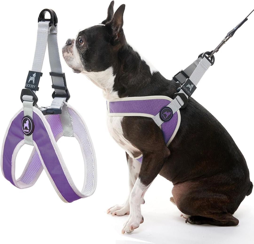 Gooby Simple Step in III Harness - Purple, Small - Small Dog Harness with Scratch Resistant Outer Vest - Soft Inner Mesh Harness for Small, Medium Dogs (Small chest (14.2517"))