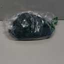 Women's Dress Long Green Size M