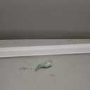 No Drill Blackout Cellular Shades,White,46.5" W x 48" H