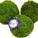 SuperMoss (25542 Moss Balls, Fresh Green, 6" (3 Pack)
