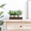 Dahey 3 Pack Mini Potted Artificial Eucalyptus Fake Plants with Wood Tray Centerpiece Table Decorations, Farmhouse Pulp Flower Pots Greenery Home Decor for Coffee Table Dining Room Office Kitchen