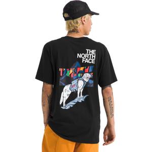 The North Face Men's Sunlit Summit Short Sleeve Tee - Casual Stylish Graphic T-Shirt, Regular Fit, Soft Cotton Fabric (3X-Large)