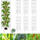 6 Packs Tomato Cages for Garden, 12"12"56" Plant Support Cage with Different Spacing, Green Metal Trellis for Climbing Plants Like Cucumber, Flowers