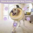 Soft Inflatable Dog Cone for Surgery Recovery, Protective Dog Donut Collar with Shield to Stop Licking Wounds, 2-in-1 Patented Comfort Blow-Up Collar for  Medium Pets (Khaki, M+)
