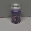 Yankee Candle Stargazing Signature Large Jar Candle