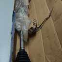 GSP NCV69582 CV Axle Shaft Assembly - Right Front (Passenger Side)