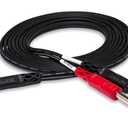Hosa CMP-159 3.5 mm TRS to Dual 1/4" TS Stereo Breakout Cable, 10 Feet, Black, 1-Pack, Laptop